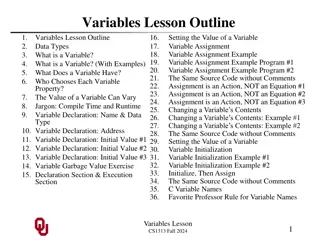 Variables in Programming