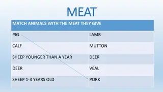 Different Types of Meat and Poultry Products