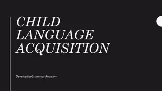 Child Language Acquisition: Grammar Development Insights