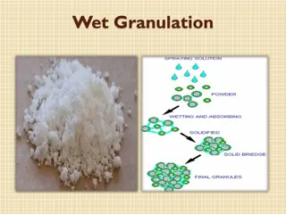 Wet Granulation Technique Overview