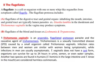 Overview of Flagellates and Their Clinical Significance