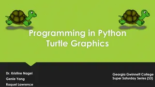 Introduction to Python Turtle Graphics for Beginners