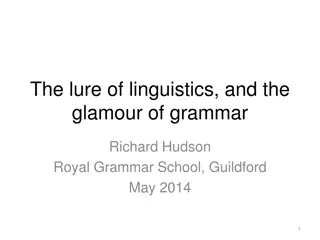 Linguistics: Grammar, Pronouns, and Language Evolution