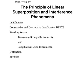 Interference Phenomena and Standing Waves in Musical Instruments