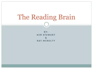 Understanding the Reading Brain: From Definition to Function