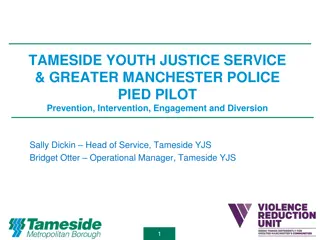 Tameside Youth Justice Service & Greater Manchester Police Pilot Program