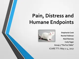 Pain, Distress, and Humane Endpoints in Animal Research