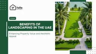 The Benefits of Professional Landscaping in the UAE