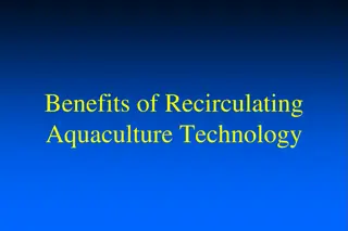 Advantages of Recirculating Aquaculture Systems for Sustainable Fish Production