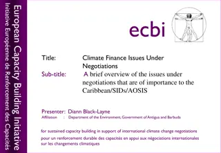 Climate Finance Issues in Caribbean/SIDS/AOSIS Negotiations