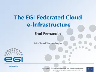 EGI Federated Cloud Infrastructure Overview