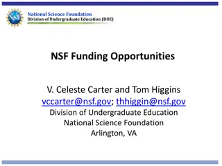 National Science Foundation Division of Undergraduate Education (DUE) Programs