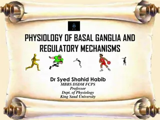 The Physiology of Basal Ganglia and Regulatory Mechanisms