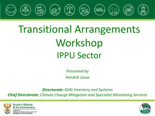 Transitional Arrangements Workshop in IPPU Sector