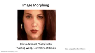 Image Morphing Techniques