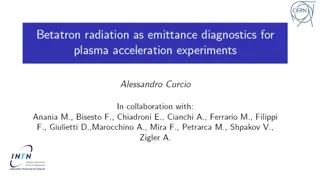 Plasma Acceleration and Betatron Oscillations Beam Characterization Method