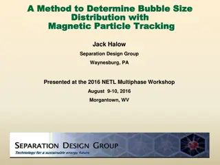 Bubble Size Distribution Using Magnetic Particle Tracking