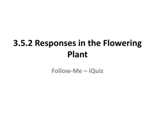 Plant Growth Regulators in Flowering Plants