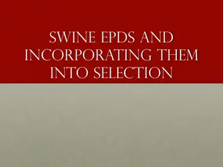 Swine EPDs for Effective Selection