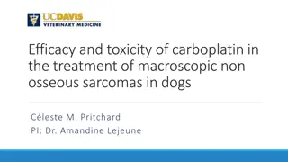 Efficacy and Toxicity of Carboplatin in the Treatment of Canine Non-Osseous Sarcomas