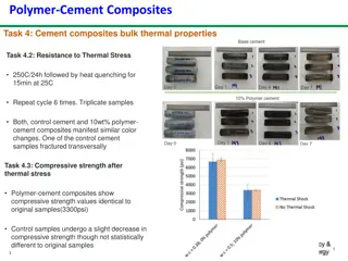 Study on the Thermal and Chemical Properties of Polymer-Cement Composites