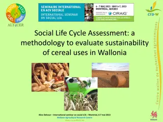 Sustainability Evaluation of Cereal Uses in Wallonia