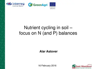 Nutrient Cycling in Soil for Sustainable Agriculture