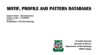 Understanding Motifs in Bioinformatics