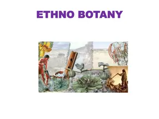 Exploring the World of Ethno-Botany: A Comprehensive Overview