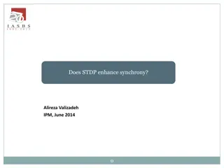 Effects of Spike-Timing-Dependent Plasticity (STDP) on Synchrony in Neural Networks