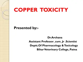 Copper Toxicity in Veterinary Science