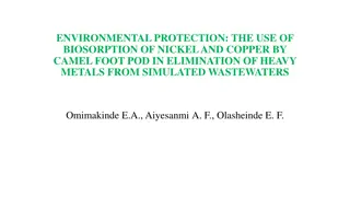 Biosorption of Nickel and Copper by Camel Foot Pod for Heavy Metal Removal in Wastewater