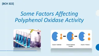 Factors Affecting Polyphenol Oxidase Activity in Enzyme Reaction