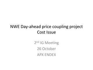 NWE Day-ahead Price Coupling Project Cost Issue