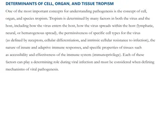 Determinants of Cell, Organ, and Tissue Tropism in Viral Pathogenesis