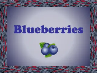 Discover the Health Benefits of Blueberries - True Blue Facts and More