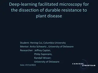 Deep Learning for Plant Disease Resistance Analysis