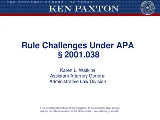 Rule Challenges Under APA 2001.038 in Texas