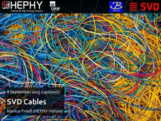 SVD Cables Presentation Summary