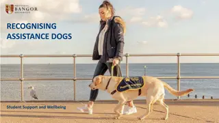 Recognising Assistance Dogs: Making the Extraordinary Happen