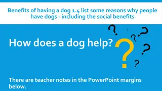 Benefits of Having a Dog: Reasons and Social Benefits