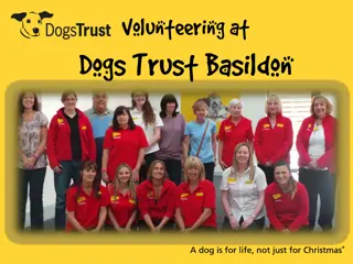 Enhancing Volunteer Engagement at Dogs Trust Basildon