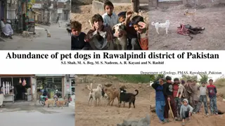 Study on Abundance of Pet Dogs in Rawalpindi District, Pakistan