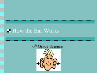 How the Ear Works - A 6th Grade Science Guide