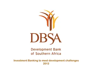 Development Bank of Southern Africa: Investment Banking Overview