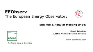 The European Energy Observatory: Advancing Energy Information Accessibility