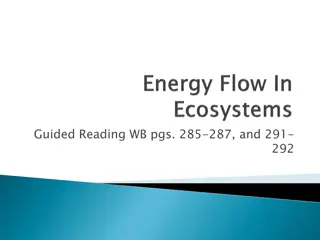 Energy Roles in Ecosystems