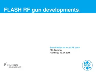 FLASH RF Gun Developments Seminar Highlights