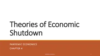 Economic Shutdown Strategies During a Pandemic