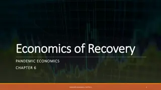 Understanding Economic Recovery in Pandemics